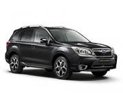 FORESTER (17)