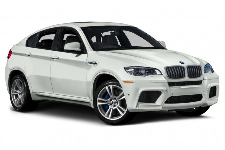 BMW X6 (E71) 2012-2014г.в. (I рестайлинг) - Защита радиатора ПРЕМИУМ