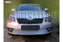 SKODA SUPERB 2014-2015г.в. (II рестайлинг) - Защита радиатора ПРЕМИУМ
