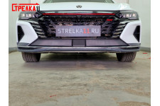 DONGFENG SHINE MAX 2021-2025г.в. (I) - Защита радиатора СТАНДАРТ