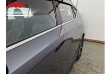 Декоративные элементы для - GAC GS4 2024-2025г.в. (I)