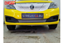 ЭВОЛЮТ I-PRO 2022-2025г.в. (I) - Защита радиатора СТАНДАРТ