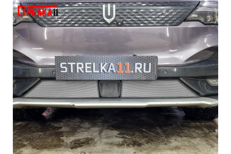 SKYWELL ET5 2020-2023г.в. (I) - Защита радиатора СТАНДАРТ