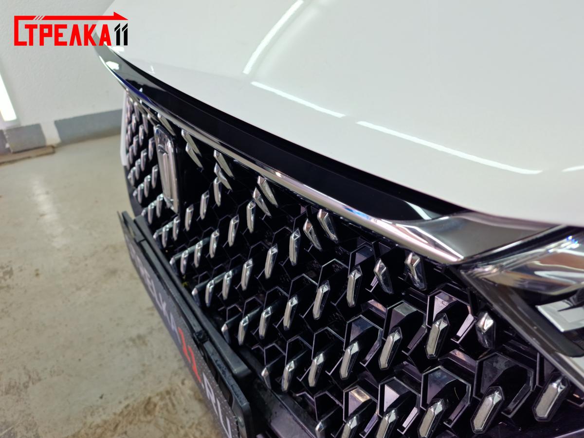 Над решеткой